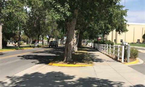 Street and Sidewalk