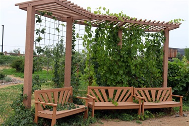 Row of benches and trellis at 6th Ward Park.