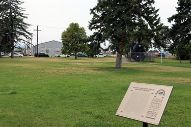 Grass at Beattie Park.