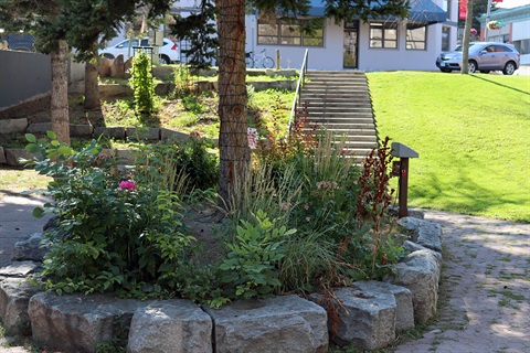 Flower bed and walking path in park.
