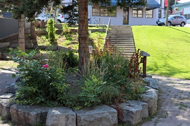 Flower bed and walkway in Constitution Park..