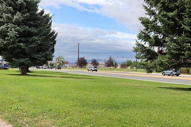 Grass in Highway Park.