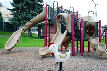 Playground equipment at Kay McKenna Park.