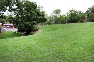 Grass hill at Peanut Park.