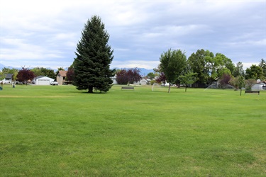Grass at Robinson Park.