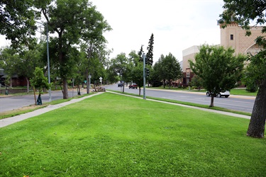 Grass at Yund Park.